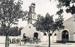 213- Relizane - Marche aux legumes